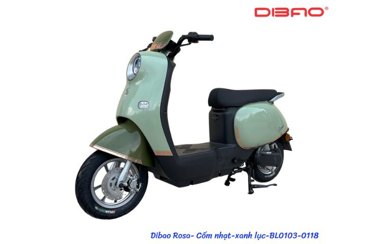Dibao Rosa được áp dụng chính sách bảo hành lên tới 12 tháng, tùy từng bộ phận